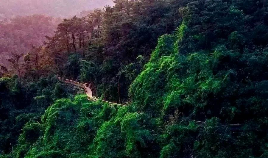 厦门打卡娱乐项目,厦门宝藏旅游打卡地盘点