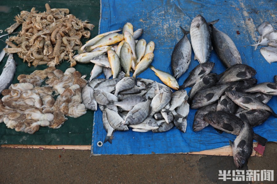 渔船海鲜市场青岛,海鲜市场渔船