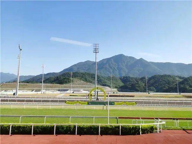 从化2021赛马比赛,2021从化赛马规划