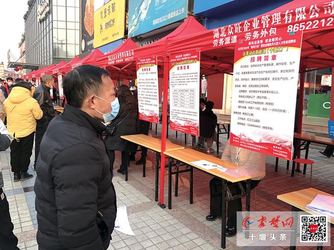 初入社会打拼怎么应聘,初入职场找工作