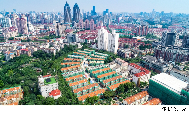 家中发现多处白蚁窝怎么处理,家中发现白蚁的正确处理流程