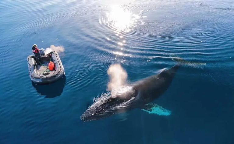 谁花了20万去南极找罪受？？