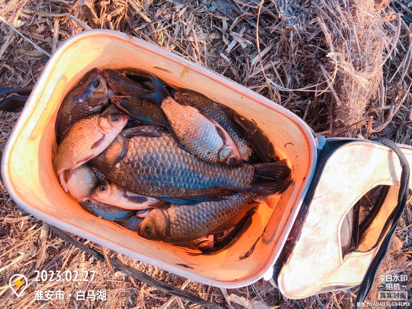 白马湖禁止钓鱼吗,白马湖朝阳河禁钓吗