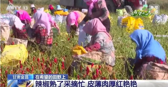 推动宣传思想工作高质量发展,百年未有之大变局宣传思想工作