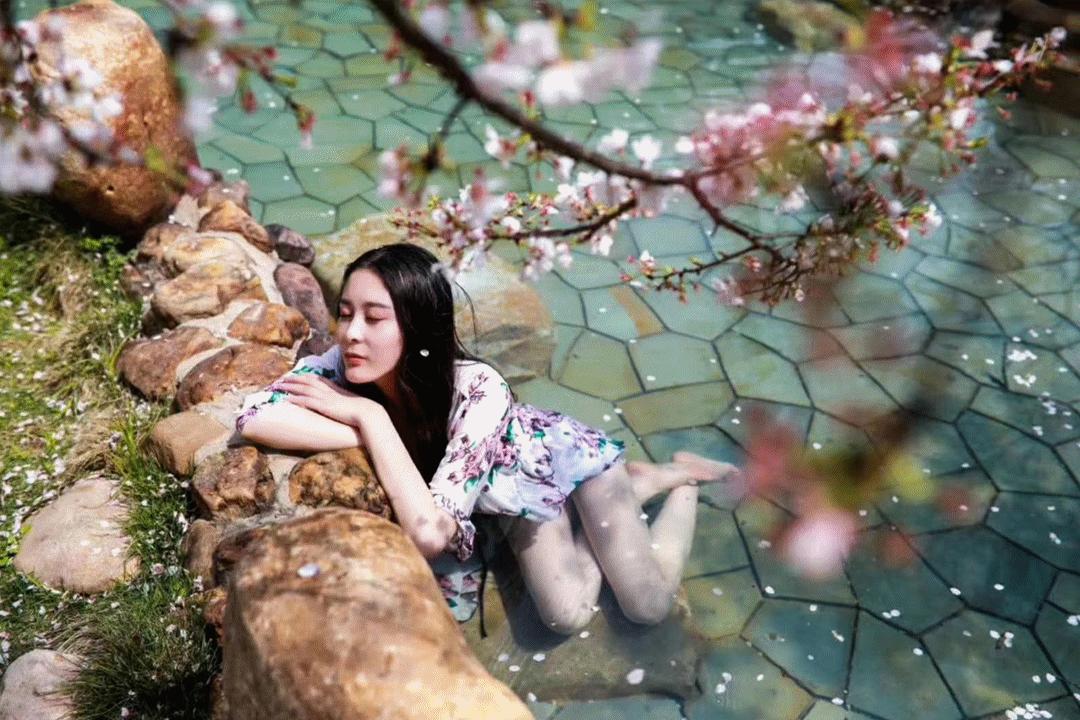 荆州赏樱,中国十大赏樱胜地最值得去的