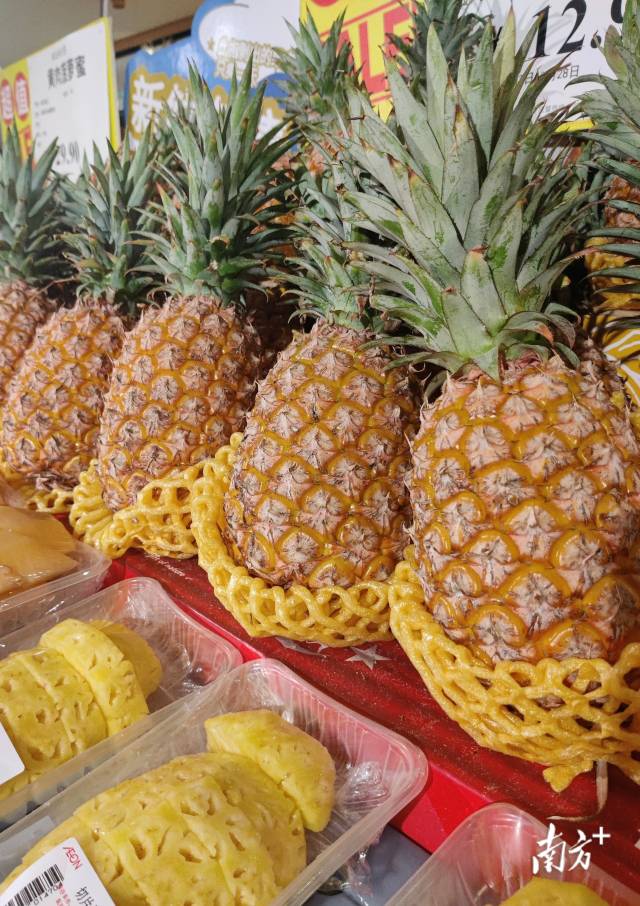 菠萝什么季节最热销,菠萝经济实惠