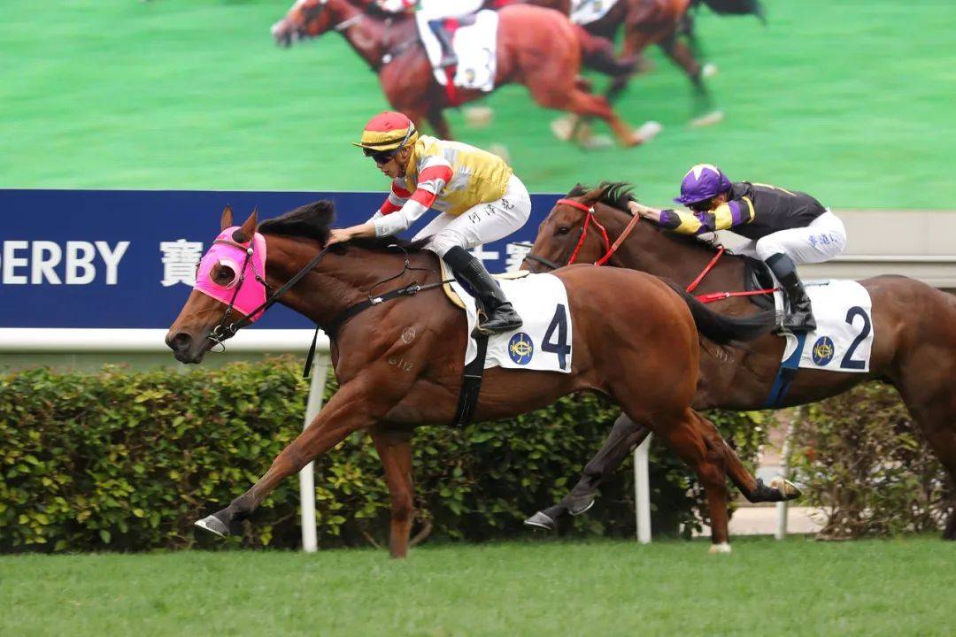 一马粉丝团现场见证新任打吡王诞生，2023年香港打吡大赛完赛！