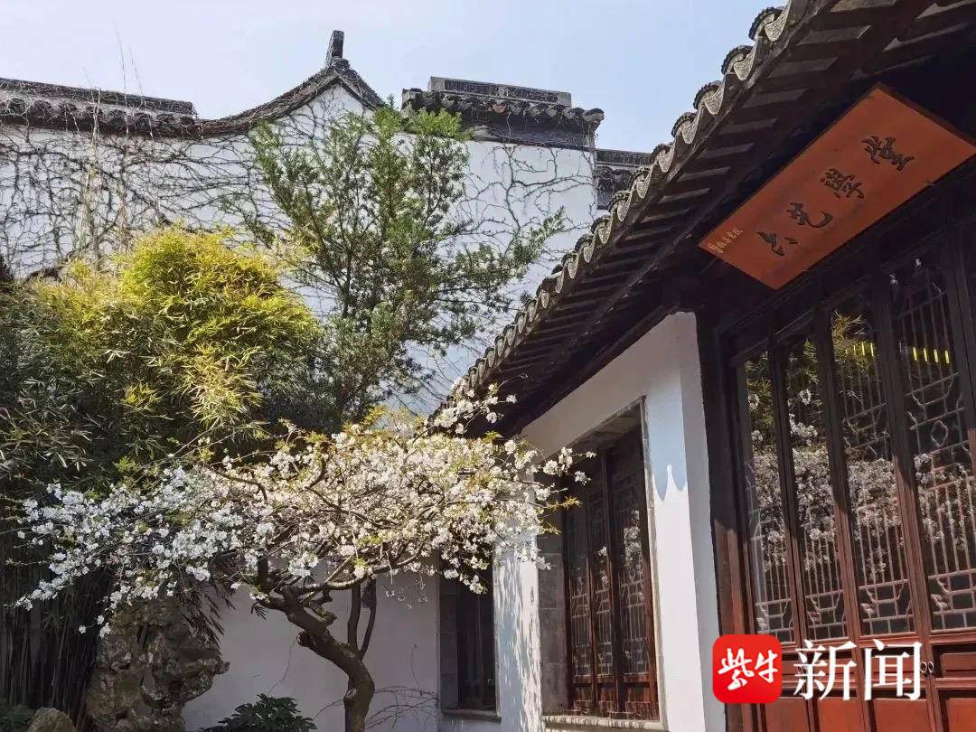 【视频】3000名学生和家长参加苏州六中校园开放日扬子晚报直播吸引58万网友关注