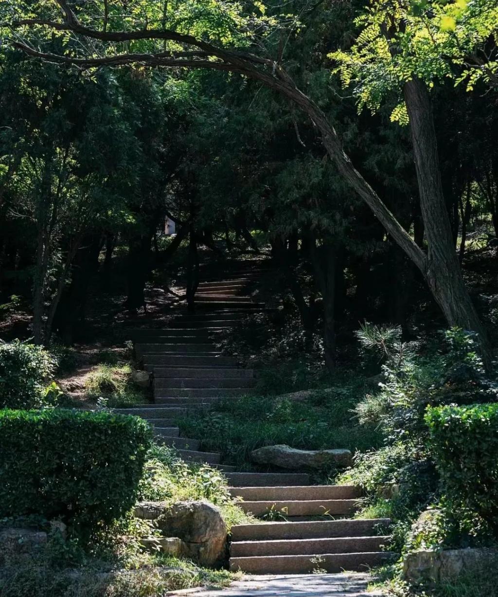 半岛叨叨丨放假7天！青岛这所高校冲上热搜，网友：又是别人家的学校