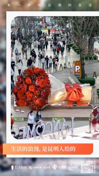 有一种治愈系风景叫云南的生活,有一种美叫云南的生活