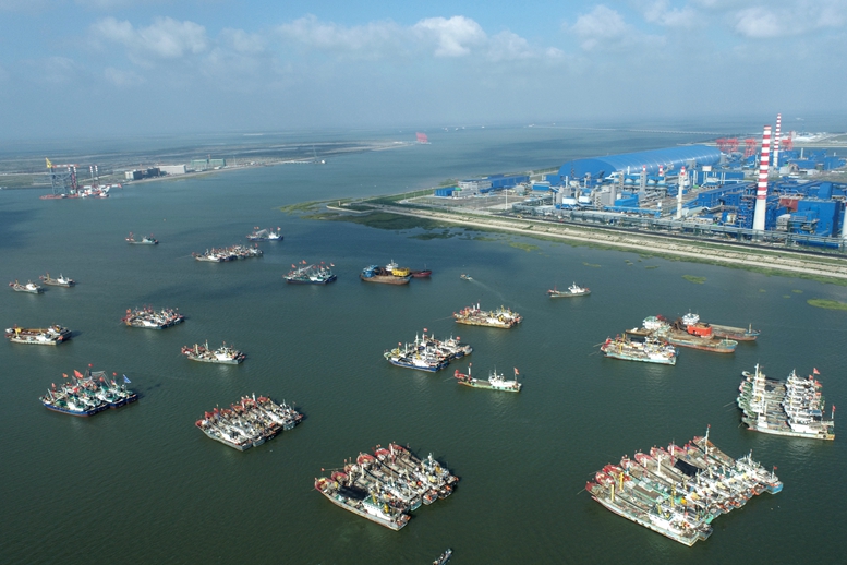 谋定而后动厚积而薄发作文,谋定而后动厚积薄发是什么意思