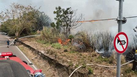 上坟不让烧纸条例,上坟烧纸的法律规定