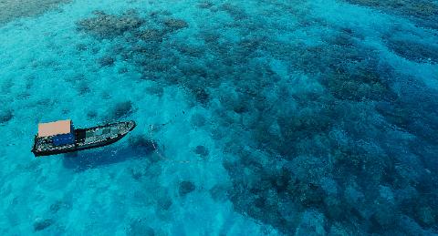 追光|海、陆、空!体育和自贸港更配哟