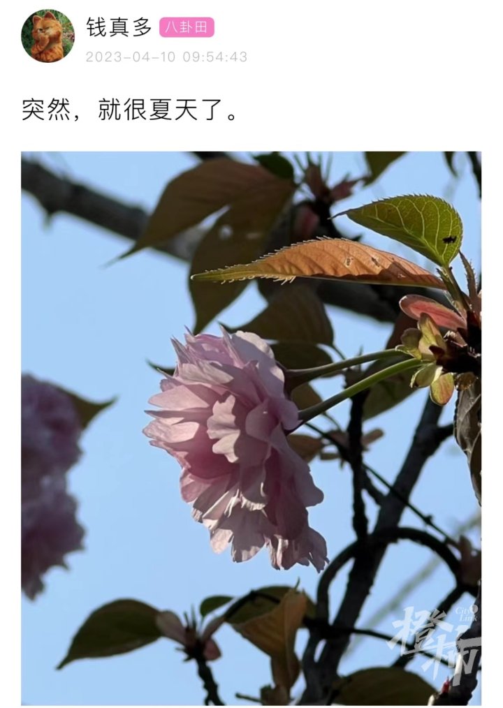 杭州强对流天气来袭,杭州将出现强对流天气