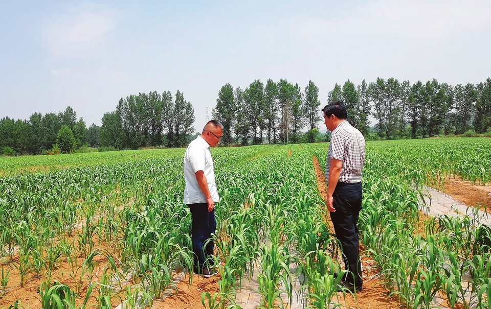 有机旱作农业现状,山西发展有机旱作农业生态优势