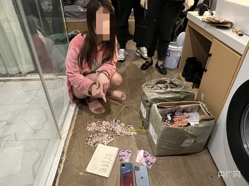 警方抓获刷单诈骗团伙,最新抓获的刷单诈骗案