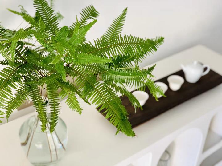 柴火生意怎样做才能赚大钱,柴火致富项目大全