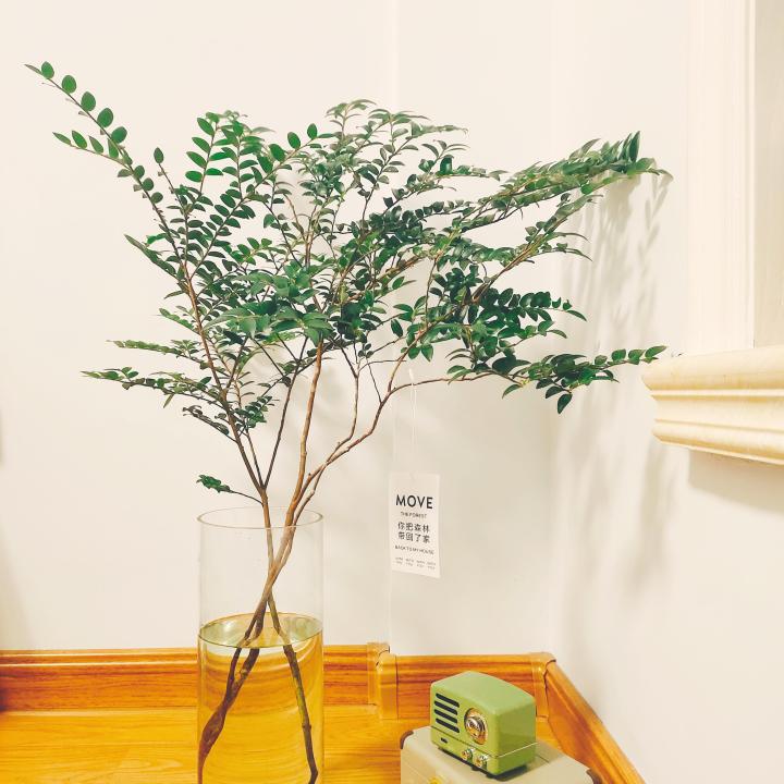 柴火生意怎样做才能赚大钱,柴火致富项目大全