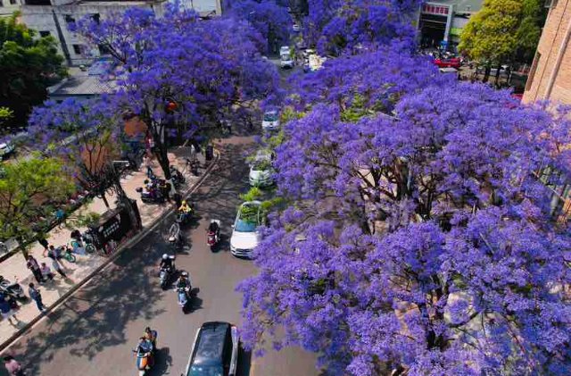 有一种云南的生活叫昆明,云南的昆明就是这么美