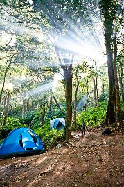 春天花正开沈阳正当时,春天花正开沈阳
