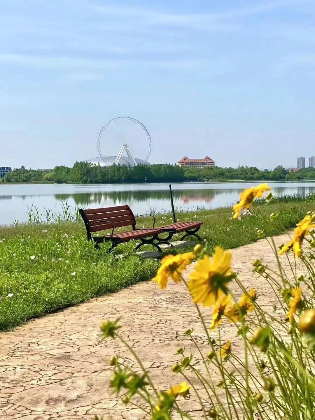 骑车打卡绿道,东湖绿道骑行享受闲暇时光