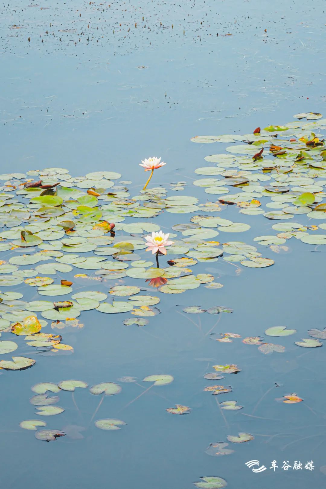 骑车打卡绿道,东湖绿道骑行享受闲暇时光