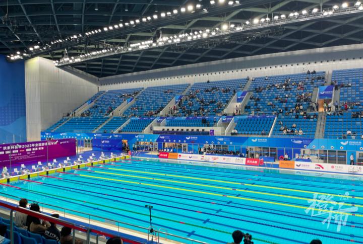 游泳世锦赛张雨霏获得几枚金牌,中国游泳队张雨霏汪顺