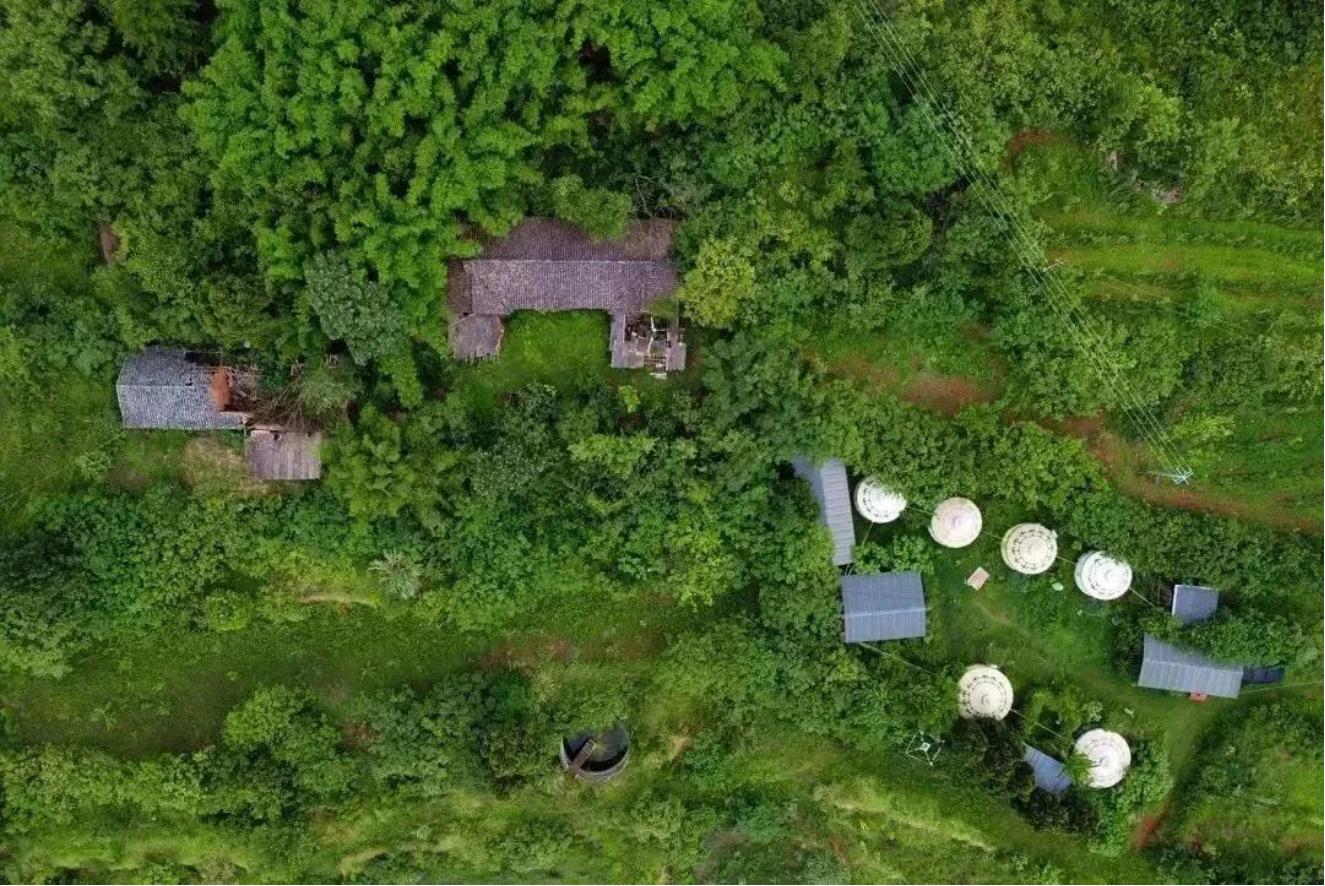 来金堂赏花,成都金堂风景