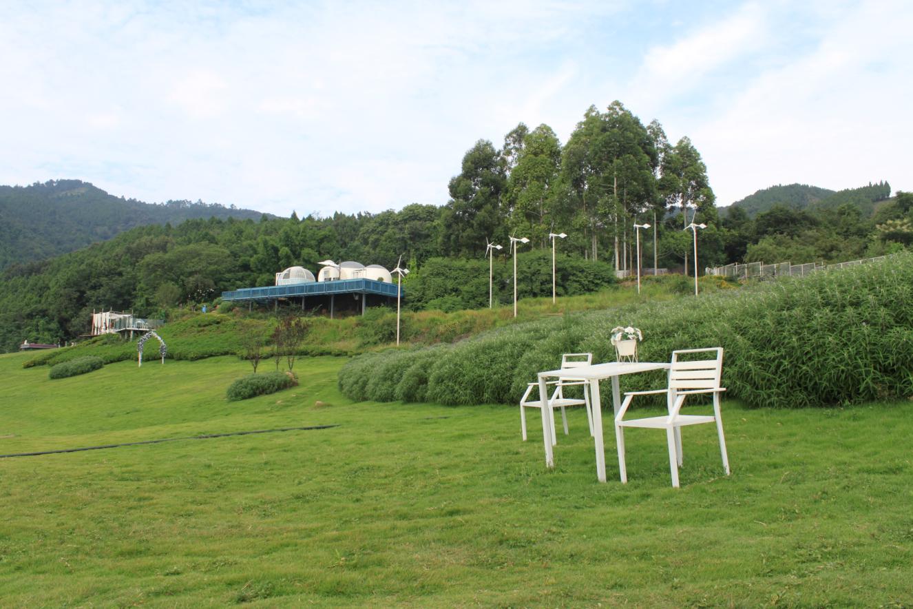 来金堂赏花,成都金堂风景