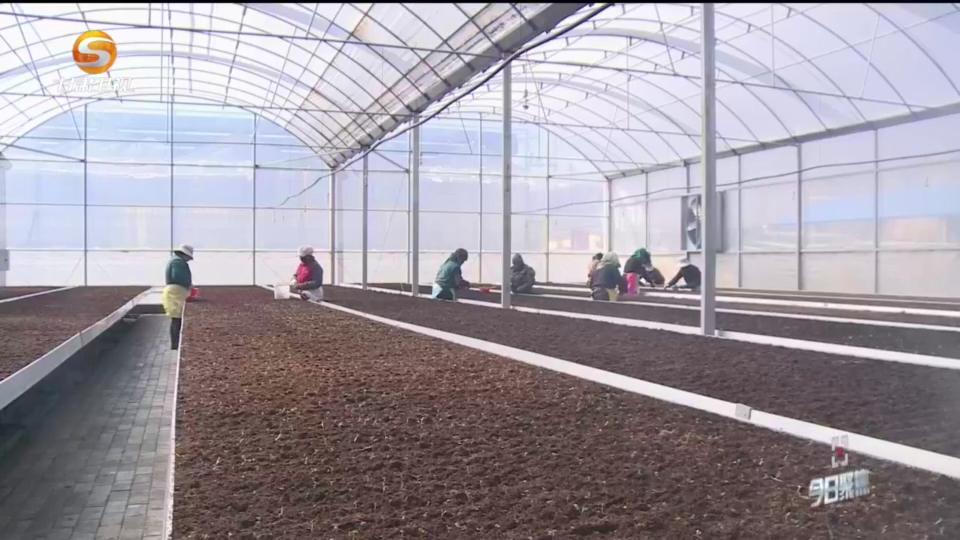 《今日聚焦》——寻找土特产变身金饭碗的路径（一）土豆的“魔法”