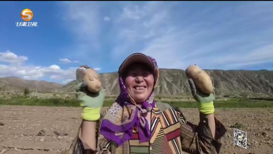 《今日聚焦》——寻找土特产变身金饭碗的路径（一）土豆的“魔法”