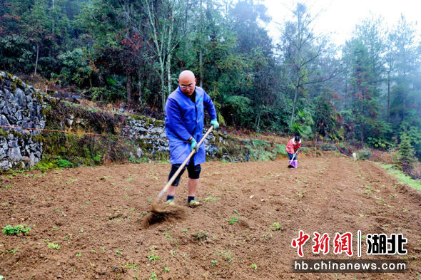 湖北农村致富夫妻,种烟致富的农村生活