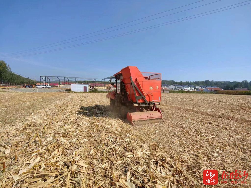 e视野眼镜店,e视野