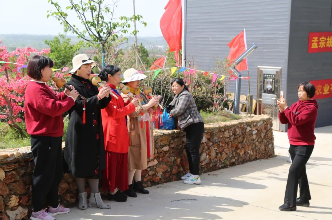 柏塘万亩茶园网红打卡地,孝昌县最好的茶园