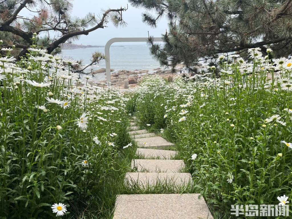 看海、健身、遛娃……青岛口袋公园功能多，承载市民满满的幸福