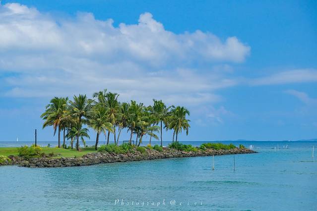斐济南太平洋之旅,斐济之行游记