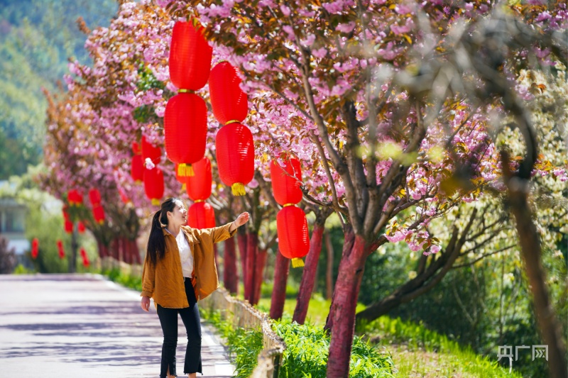 【大宏图·“县”在启航】甘肃成县：书写“三大区块”跃升篇章擘画“景城融合”成州印象