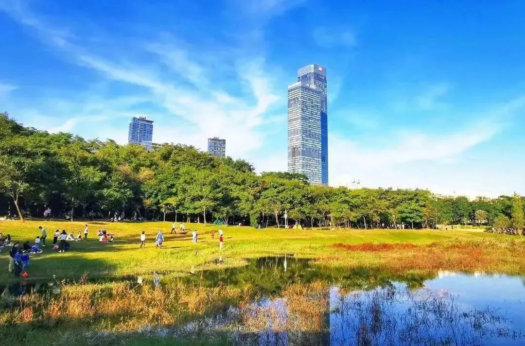 青春之城合集,青春之城后续