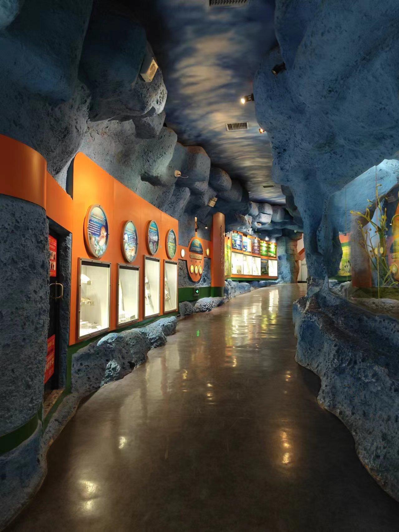 带你走进郑州自然博物馆,郑州有哪些带有恐龙化石的博物馆