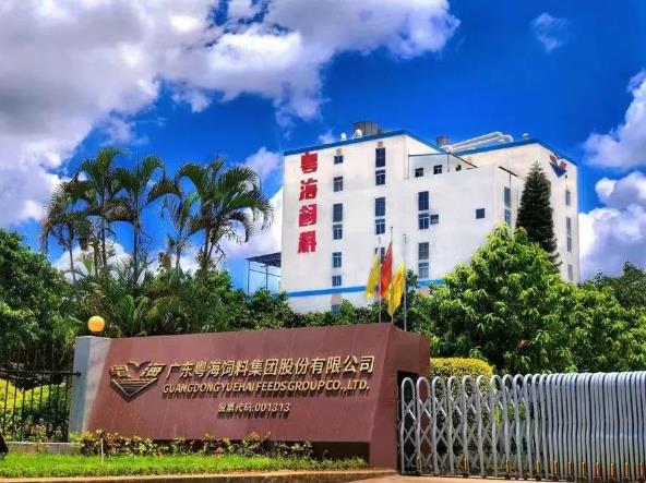 激励股票期权1万份是多少股,激励计划授予的股票期权