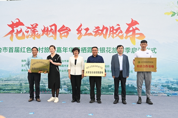 百亩金银花海香飘栖霞烟台首届红色乡村旅游嘉年华启动