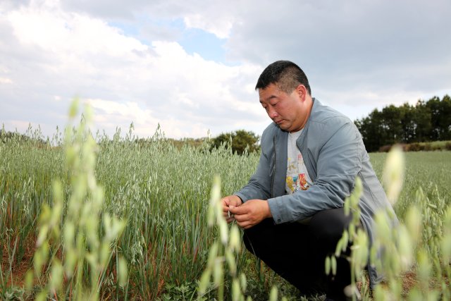 开屏早间新闻,开屏今日资讯