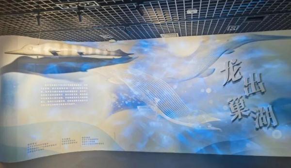 文博展讯,文博展