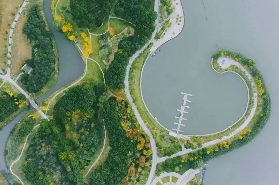 热浪来袭！沪上这6处避暑纳凉天堂，凉爽宜人风景如画，是夏天该去的地方