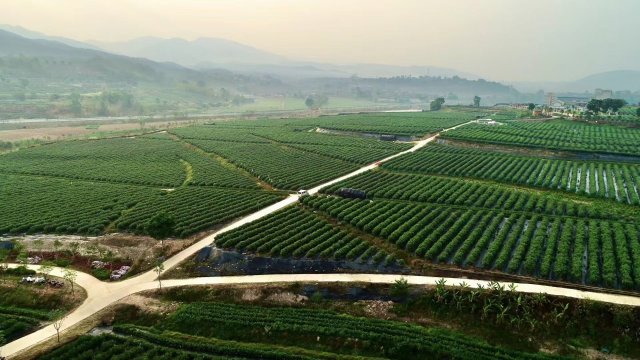 寻找励志学子每人奖1万,寻找100位寒门学子爱心助学