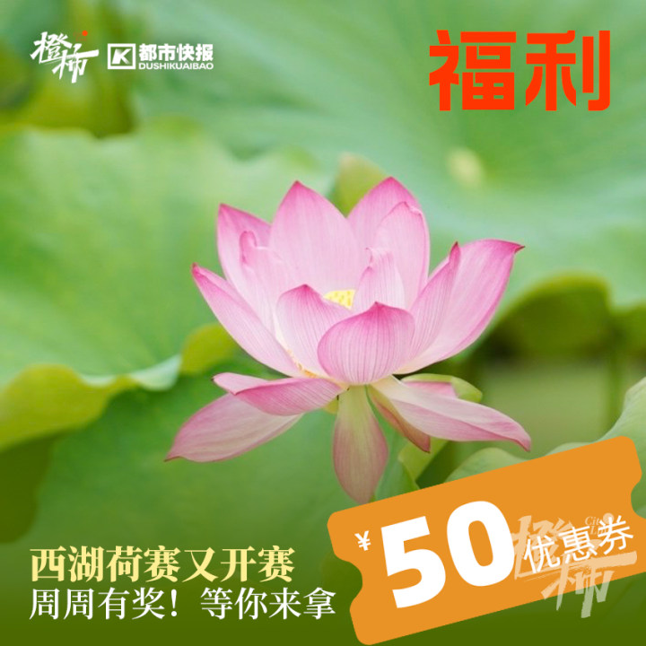 跟着它打卡杭城秘境，探寻人文历史，晒新书送西湖游船票｜橙柿福利