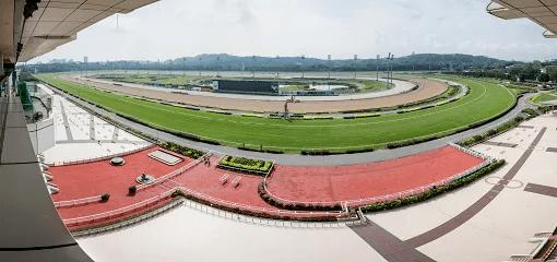 官宣了！新加坡明年10月停止赛马