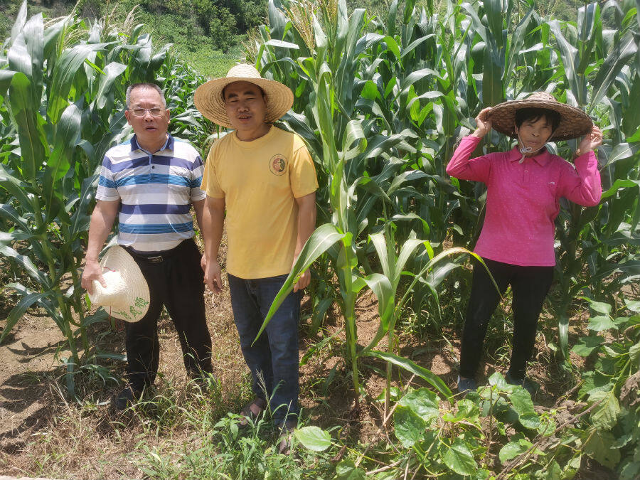 产业发展激励奖补项目,产业扶贫同奔小康