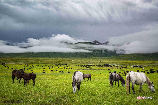 甘南绿水青山,甘肃甘南绿水青山