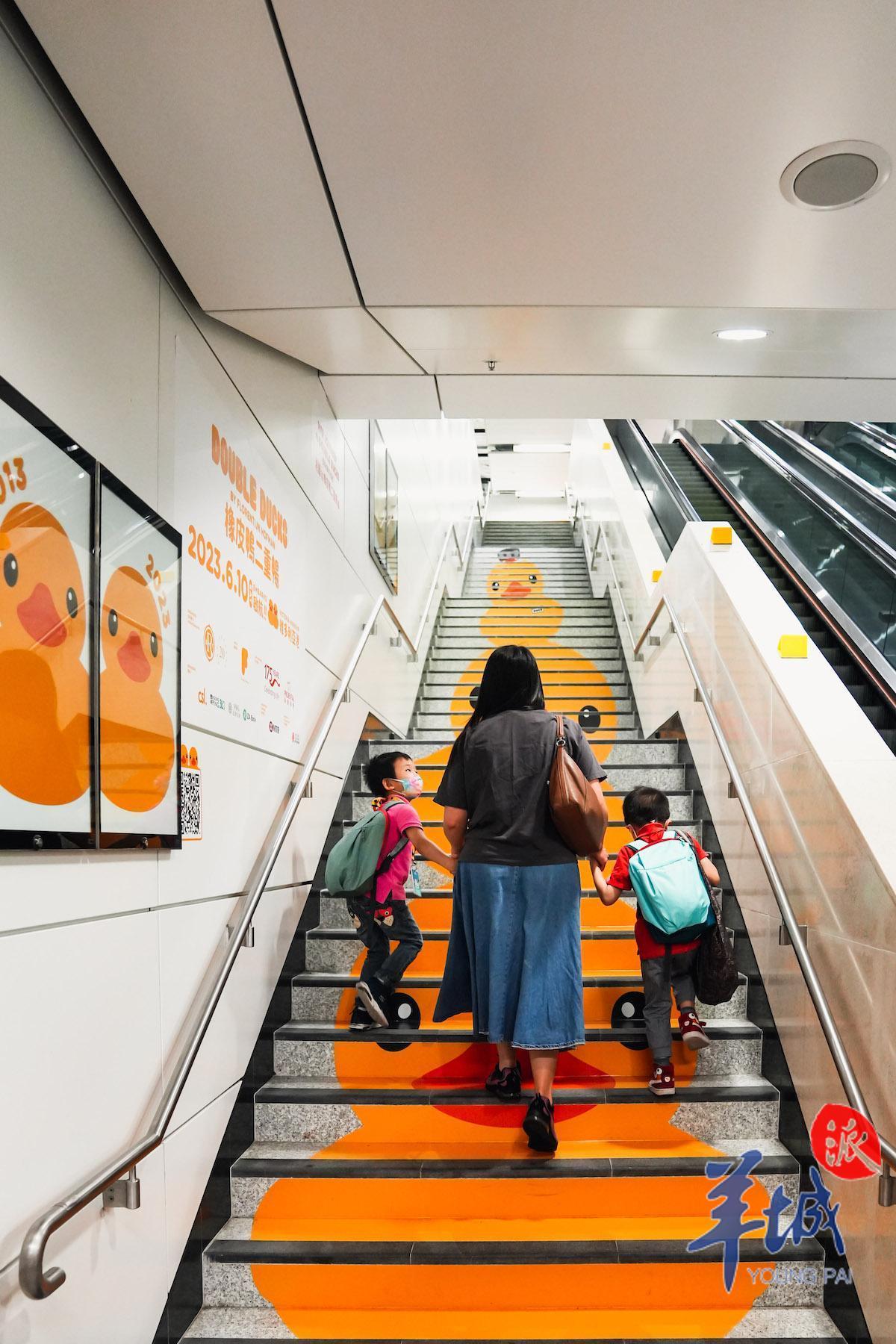 大黄鸭游香港,香港大黄鸭去过多少个地方